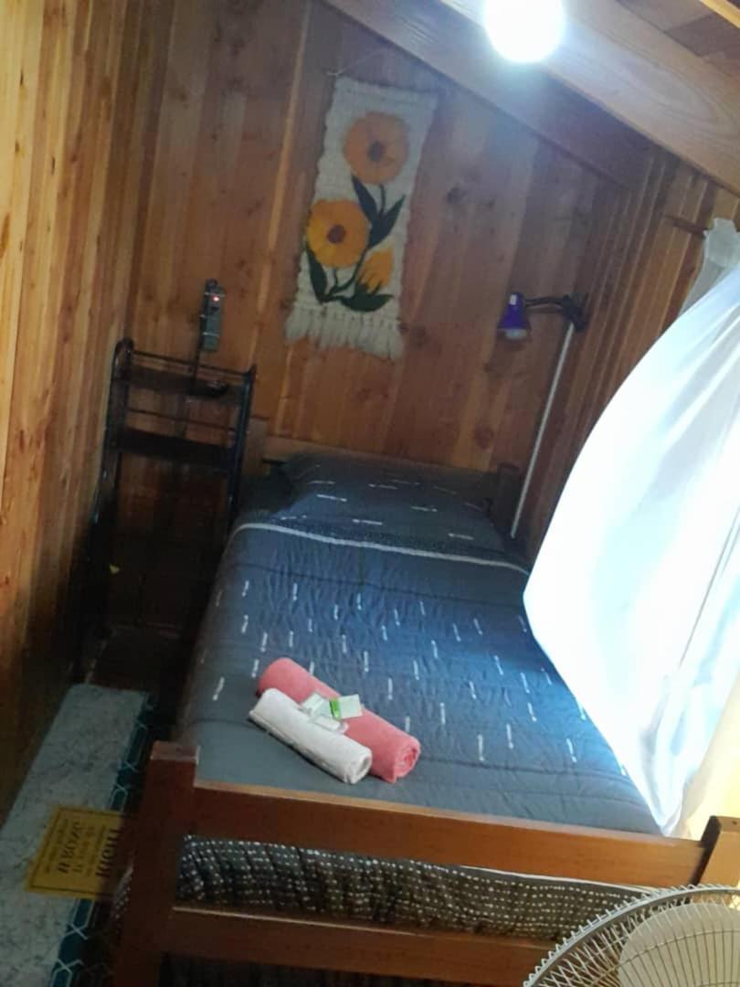 Hostal Newen Villarrica Exterior photo